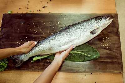 Семга атлантическая свежемороженая  1-2 кг